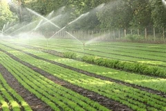 Ninh Thuân bénéficie d’une technologie d'irrigation moderne