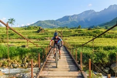 Bientôt une course de vélo tout terrain (VTT) à Sa Pa 