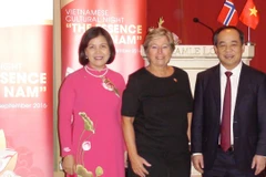 Soirée culturelle vietnamienne en Norvège