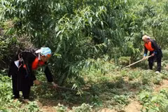 Faciliter l’accès au foncier forestier pour les ethnies minoritaires 