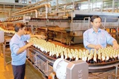Deux sociétés japonaises lorgnent le marché vietnamien de la bière