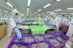 Bac Lieu vise 785 millions de dollars d'exportations en 2016