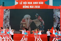 La première fête des fleurs de cerisier à Dong Nai