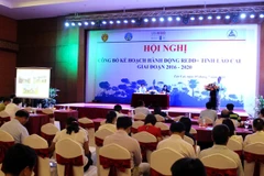 Lao Cai publie un programme d’action REDD+