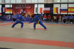 Les championnats d’Europe de Vovinam Viet Vo Dao en Suisse