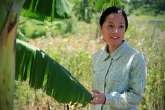 Le Vietnam au Festival des premières mondiales du cinéma des Philippines 2016