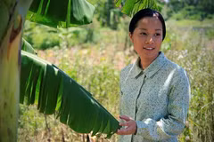 Le Vietnam au Festival des premières mondiales du cinéma des Philippines 2016