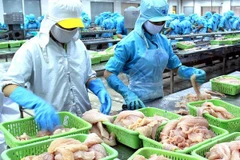 Autorisation de la vente de poissons tra au Panama