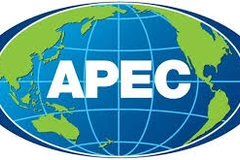 Sommet de l’APEC 2016 : le Vietnam renforce son intégration internationale
