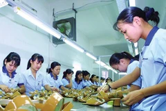 Textile et chaussures : les fournisseurs vietnamiens recevront des prêts préférentiels de l’IFC