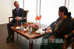 Vietnam - Danemark: renforcement des relations bilatérales 