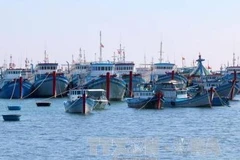 Mise en chantier d’une zone de mouillage pour les bateaux de pêche sur l’île de Phu Quy