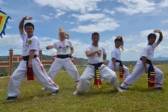 Le 6e festival international des arts martiaux traditionnels du Vietnam attendu en août