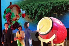 Ouverture de la Fête de la Vigne et du Vin - Ninh Thuan 2016