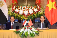 Les entreprises vietnamiennes doivent saisir des opportunités pour pénétrer le marché africain