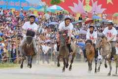 Rendez-vous en juin sur le plateau de Bac Ha (Lao Cai) 