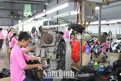 Opportunités pour l'industrie vietnamienne du cuir et des chaussures en 2018 