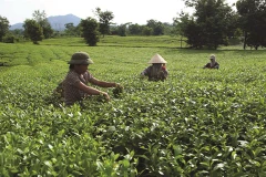 Phu Tho s’attèle à la réduction durable de la pauvreté