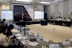 La Suède partage des expériences de gestion des transports publics à HCM-Ville