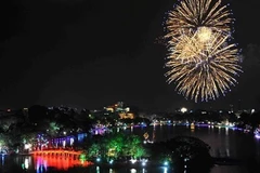 Le Vietnam en fête pour la nouvelle Année du Chien