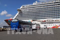 Da Nang valorise ses potentiels de tourisme de croisière