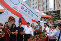 200 tonnes de litchis "thiêu" de Luc Ngan seront exportées en Thaïlande 