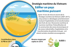 [Infographie] Stratégie maritime du Vietnam : Edififier un pays maritime puissant