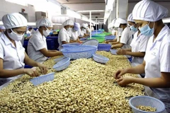 Dong Nai : chiffre d’affaires à l’export de 4,3 milliards de dollars au premier trimestre
