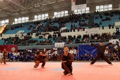 La Fédération algérienne de Jujitsu Son Long Quyen Thuat voit le jour