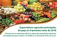 [Infographie] Exportations agricoles principales du pays en 9 premiers mois de 2018