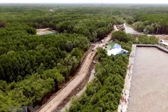 Climat : mise en oeuvre de plusieurs projets dans le delta du Mékong