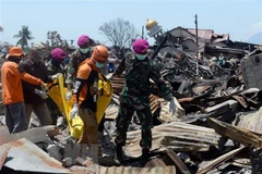 Séisme et tsunami en Indonésie: établir un site web pour rechercher les proches perdus
