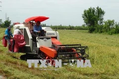 Vietnam et Japon partagent des expériences de développement des produits agricoles