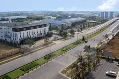 Da Nang se concentre sur le développement d'un parc de haute technologie