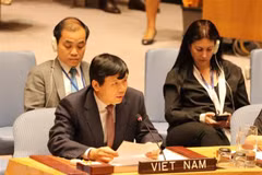 73e session de l'AG de l'ONU: le Vietnam à la réunion de la 6e Commission 