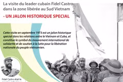 [Infographie] Visite du leader cubain Fidel Castro dans la zone libérée au Sud Vietnam