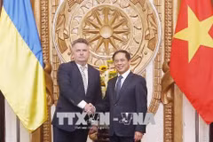 Vietnam-Ukraine : consultation politique au niveau vice-ministériel 