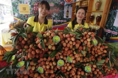 L’ambassadeur suédois apprécie la qualité des litchis de Thanh Ha