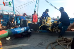 Khanh Hoa : première virée vers l’archipel de Truong Sa après le Têt