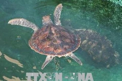 Parc national de Nui Chua : Préservation de la biodiversité liée au tourisme durable