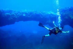 Une voûte sous-marine attire des touristes à Quang Ngai