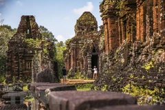 Des scientifiques indiens aident le Vietnam à restaurer le patrimoine culturel mondial de My Son