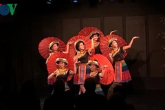 Découverte des « Couleurs du Vietnam » à Paris