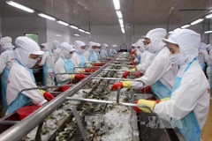 Les Etats-Unis diminuent les taxes antidumping sur les crevettes vietnamiennes