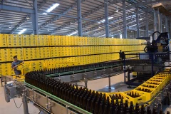 Les Vietnamiens consomment plus de 4 milliards de litres de bières par an