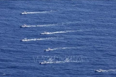 Naufrage d’un bateau touristique : Message de sympathie au Japon