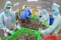 Les exportations de produits aquatiques devraient rencontrer des difficultés au troisième trimestre
