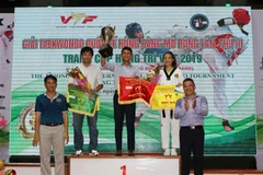 Tournoi international de taekwondo Hong Bang à Da Nang