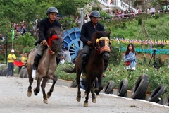 La course hippique "Sabots de chevaux dans les nuages" à Lao Cai