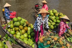 Lonely Planet à la découverte du Vietnam
